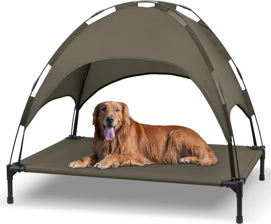 Elevated Dog Bed with Canopy