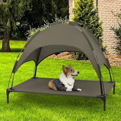 Elevated Dog Bed with Canopy