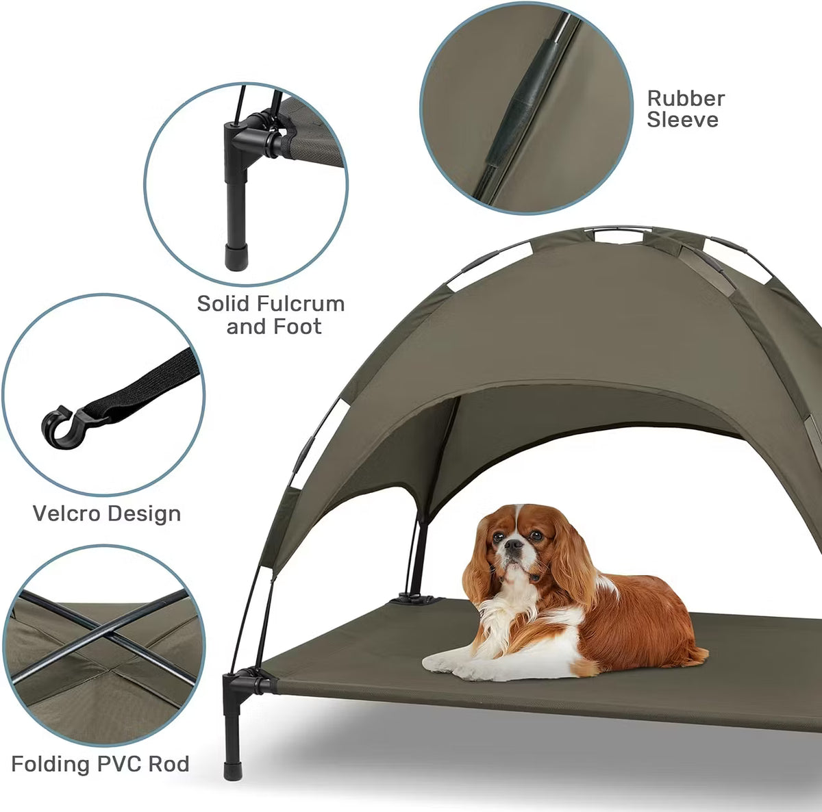 Elevated Dog Bed with Canopy
